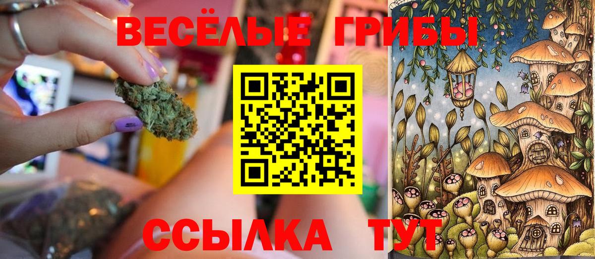 Псилоцибиновые грибы мухоморы Богданович