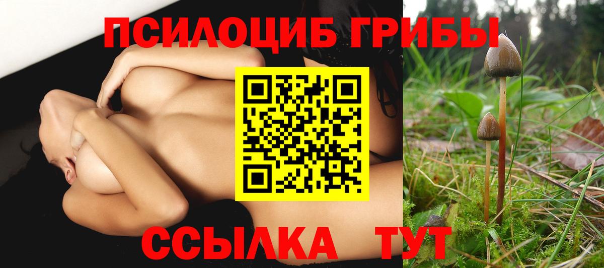 Галлюциногенные грибы прущие грибы  Галлюциногенные грибы мицелий  дарнет шоп  Богданович  Вход с VPN 